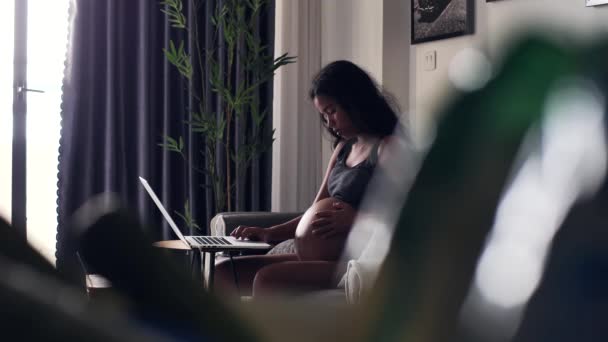 원문 기사보기 임신 한 젊은 여성 이 온라인상에서 노트북을 사용하는 동안부드럽게 자신의 배를 만지고 있다. — 비디오