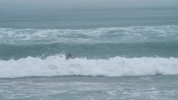 Сёрфер-женщина гремит в море с огромными волнами для серфинга в летний день. — стоковое видео