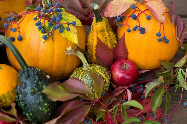 Oktober decoration — Stock Photo, Image