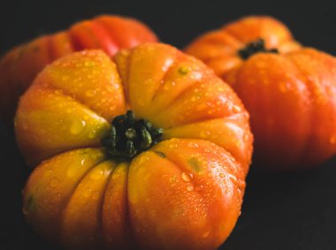 Taze İspanyol domatesleri kapanıyor. Siyah arka plan. Açı görüşü. Alan derinliği.