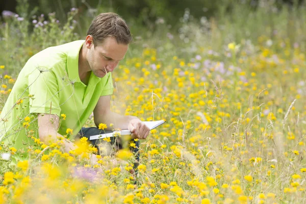 Omgevings wetenschapper onderzoek naar het milieu en de natuurlijke d — Stockfoto