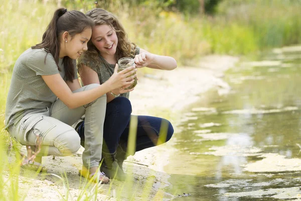 Pretty young girls having outdoor science lesson  exploring natu — Stock Photo, Image