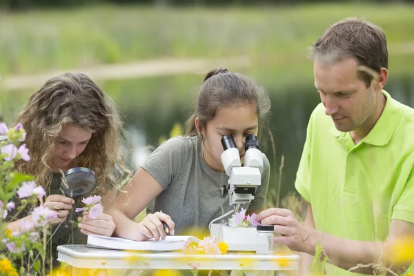 Guapas chicas jóvenes teniendo al aire libre lección de ciencia explorar natu —  Fotos de Stock