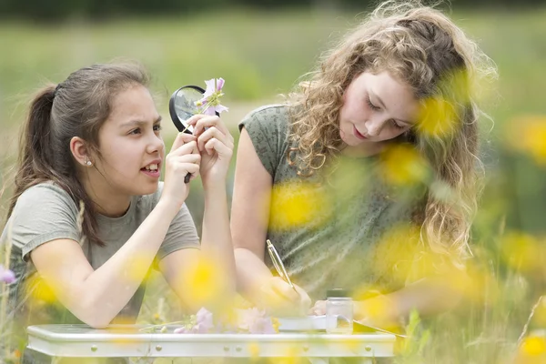 Guapas chicas jóvenes teniendo al aire libre lección de ciencia explorar natu —  Fotos de Stock