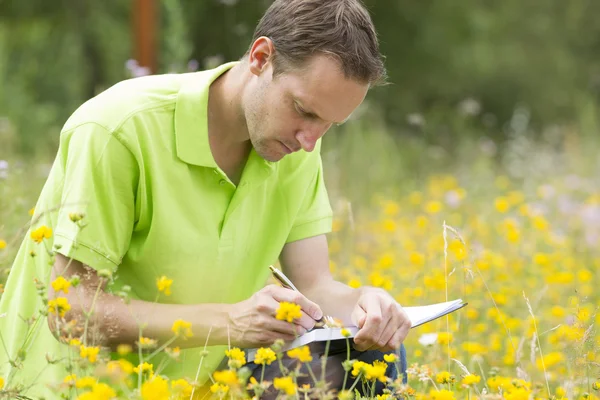 Ricercatore ambientale che ricerca l'ambiente e la natura d — Foto Stock