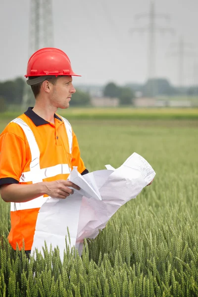 Architect Holding Blueprint While Standing Amidst Plants — Stock Photo, Image