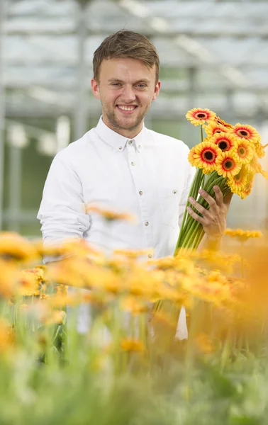 Jonge vrouw werkt in een tuinderij bij de bloemen Gerbera — Stock Photo, Image