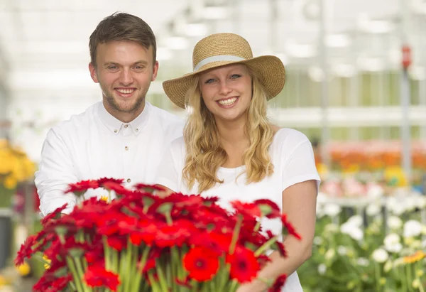 Jonge vrouw sv jonge man werken i een Gerberakwekerij — Stockfoto