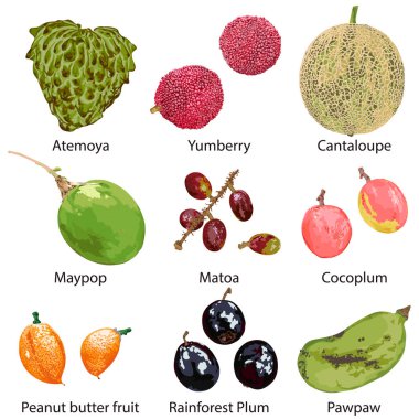 Set of different fruits on a white background. clipart