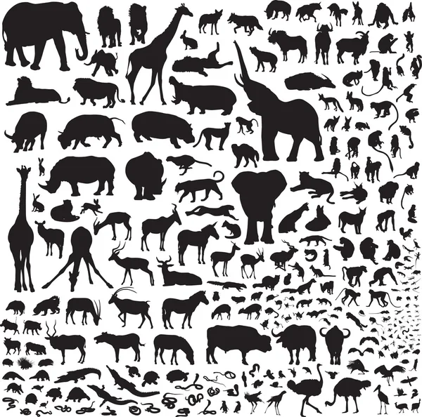 Tous les animaux d'Afrique — Image vectorielle