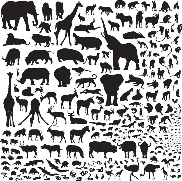 Todos los animales de África — Vector de stock