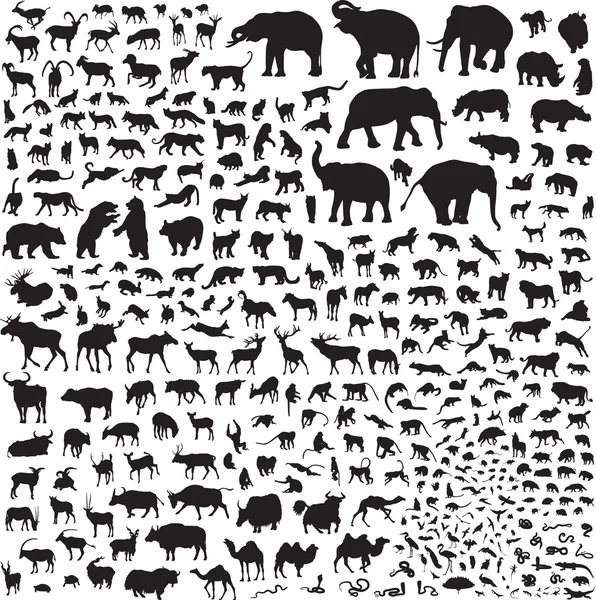 Silhouettes of wildlife Asia — Stock Vector