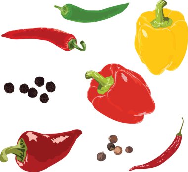 Different peppers on a white background clipart