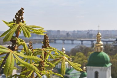 Kind to the chestnut flowers and leaf in the foreground and Kiev Pechersk Lavra, river Dnepr and Kiev in the background. clipart