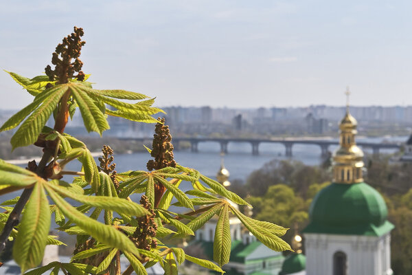 Kind to the chestnut flowers and leaf in the foreground and Kiev Pechersk Lavra, river Dnepr and Kiev in the background.