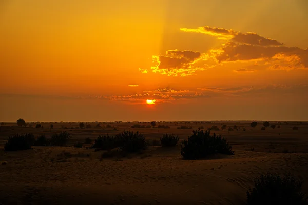 Sonnenuntergang über der Wüste, Rajasthan, Indien — Stockfoto