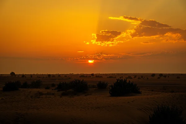 Sonnenuntergang über der Wüste, Rajasthan, Indien lizenzfreie Stockbilder