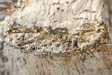 pirit madeni izole makro çekim