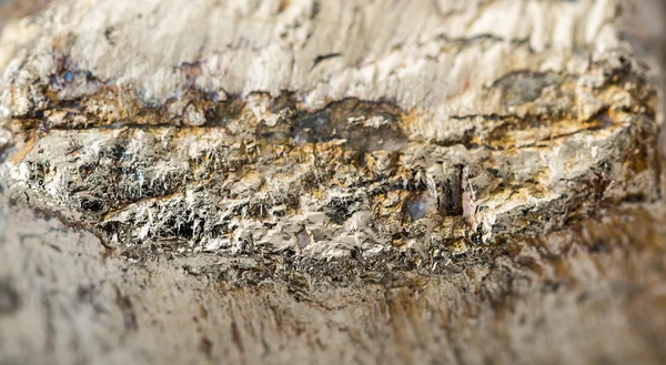 Macro shot of pyrite mineral isolated — Stock Photo, Image