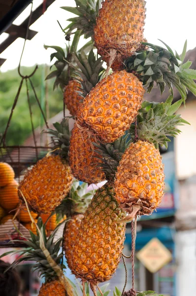 Ananas bunch hanging at market — Stock Photo, Image