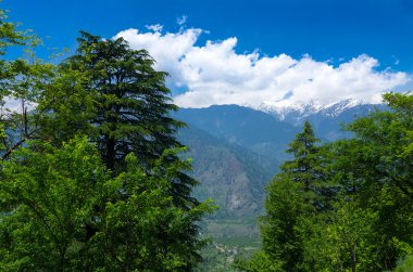 Roerich evinden Himalaya dağlarının görünümü