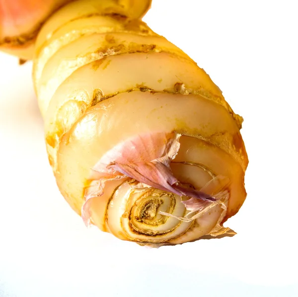 Ginger root isolated — Stock Photo, Image