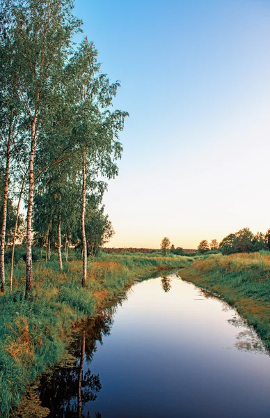 Tranquillo paesaggio estivo al tramonto alberi e cielo riflesso nell'acqua specchiata — Foto Stock