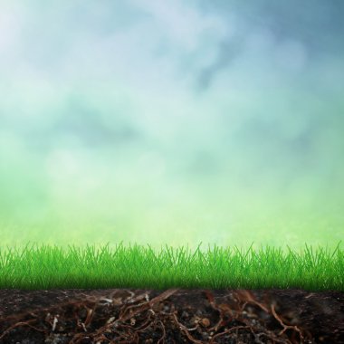 Bahar büyüme kavramı