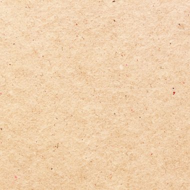 Kağıt gri sayfası