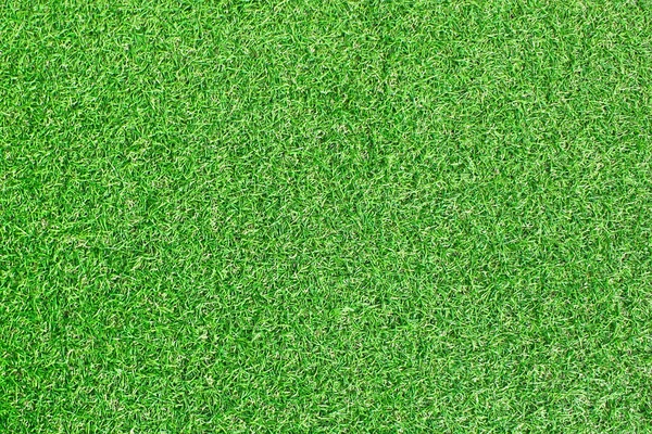 Artificial grass surface — Stock Photo, Image