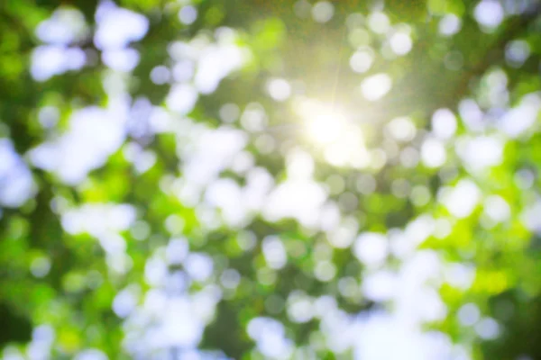 Bokeh verde na luz — Fotografia de Stock