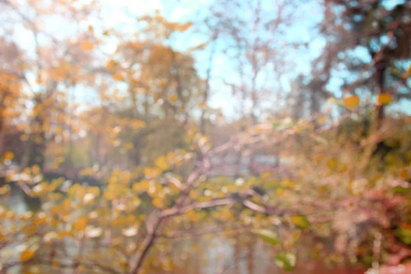 Природа осенью — стоковое фото