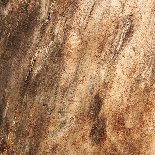 Suprafata maro din lemn — Fotografie, imagine de stoc