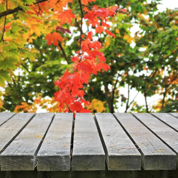 秋のビュー — ストック写真