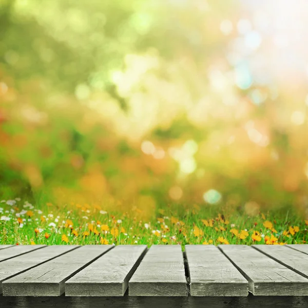 Path in field — Stock Photo, Image