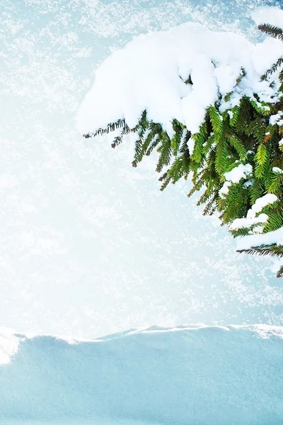 Dopasowanie tre w śniegu — Zdjęcie stockowe