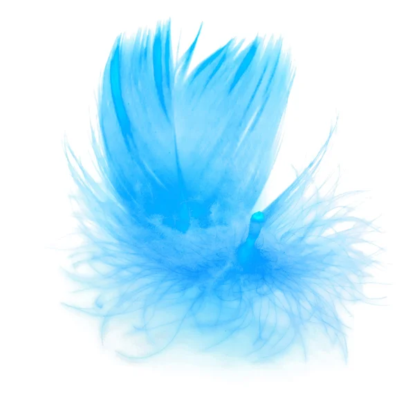 Pluma azul — Foto de Stock