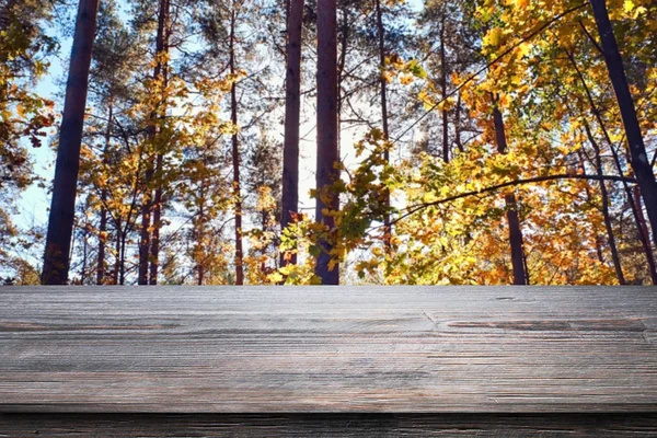 Tabela na floresta — Fotografia de Stock