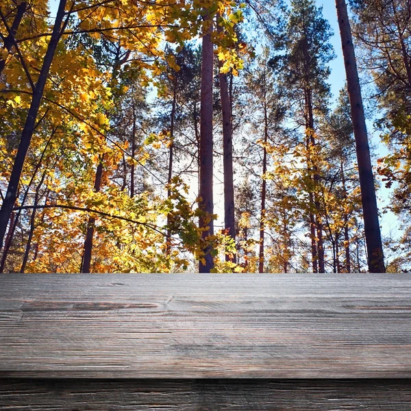 Tabela na floresta — Fotografia de Stock