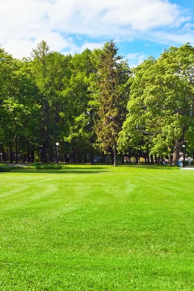 日当たりの良い公園 — ストック写真