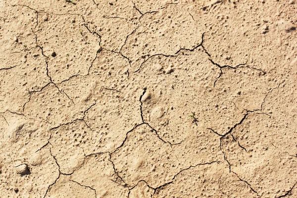 Arena en líneas — Foto de Stock