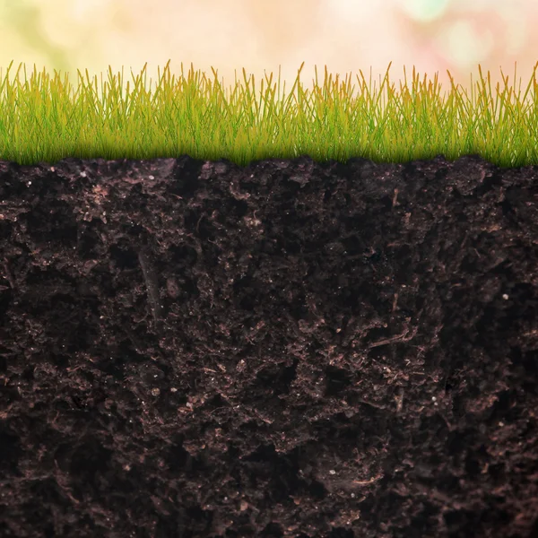 Natürliche Erde mit Gras — Stockfoto