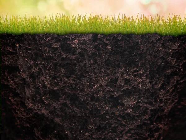 Natuurlijke aarde met gras — Stockfoto
