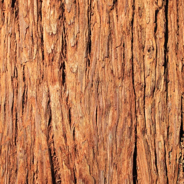 Wooden surface — Stock Photo, Image