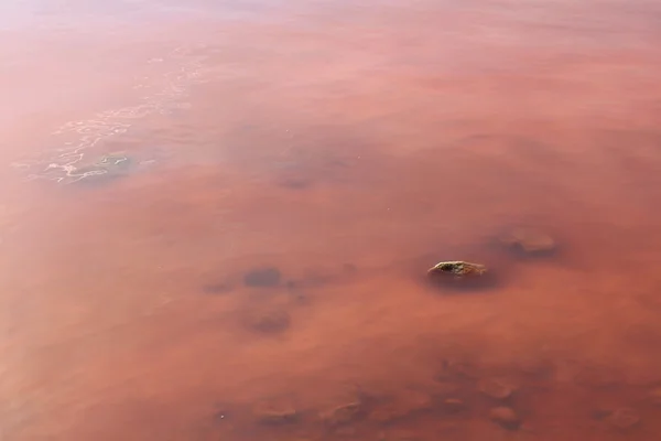 Lago salado — Foto de Stock