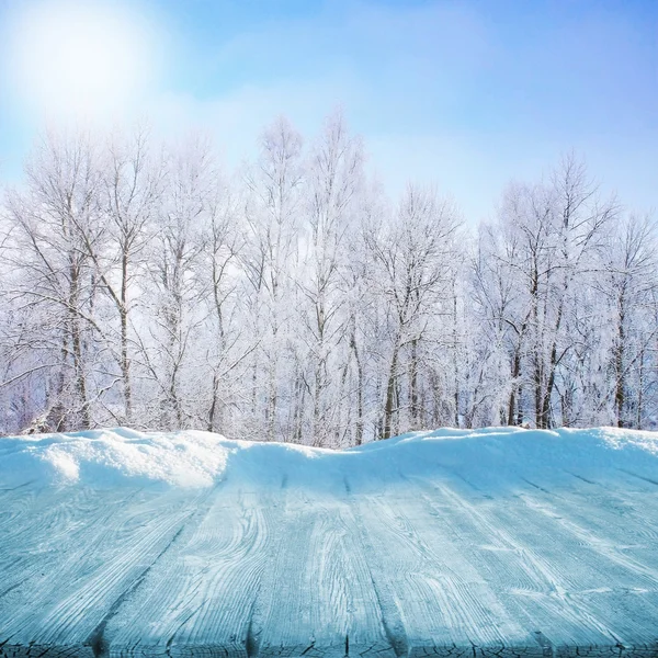 Sentiero invernale — Foto Stock