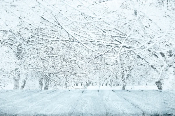 Winterbos in de sneeuw — Stockfoto