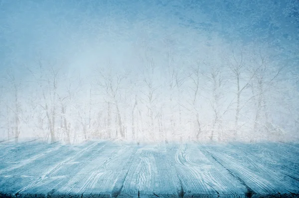 Kış yolu — Stok fotoğraf