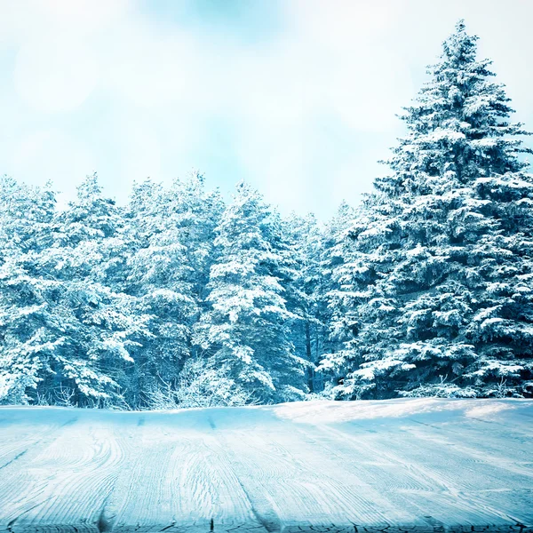 Dřevěná cesta v zimním lese — Stock fotografie