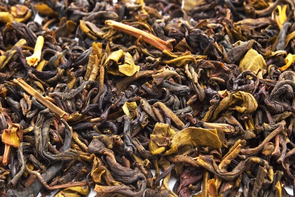 Dry tea — Stock Photo, Image